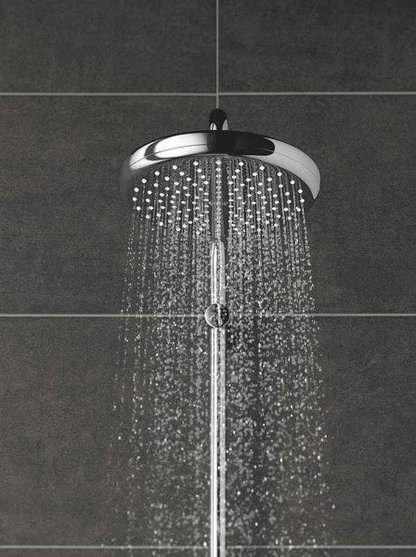 Верхний душ Grohe Tempesta 210 26408000 Хром