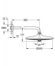 Верхний душ Grohe Euphoria 26459000 Хром