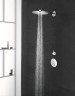 Верхний душ Grohe Euphoria 260 26457000 Хром