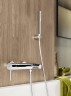 Душевой гарнитур Grohe Euphoria Cosmopolitan 27369000 Хром