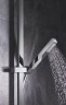 Ручной душ Grohe Euphoria Cube 27698000 Хром