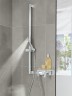Ручной душ Grohe Euphoria Cube 27698000 Хром