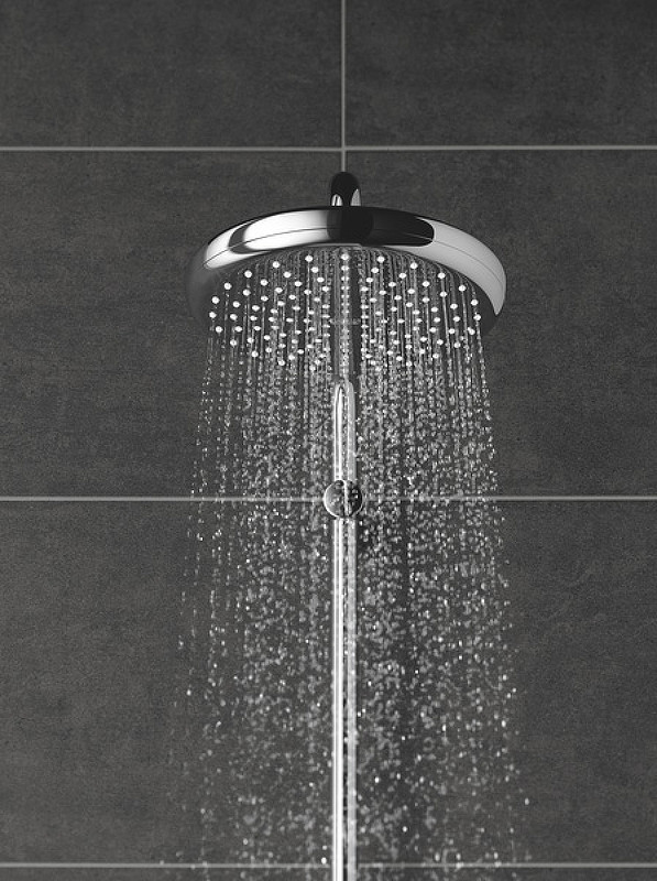 Верхний душ Grohe Tempesta 210 26409000 Хром