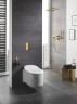 Клавиша смыва Grohe Skate Cosmopolitan 38732GL0 Холодный рассвет