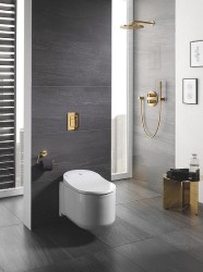 Клавиша смыва Grohe Skate Cosmopolitan 38732GL0 Холодный рассвет